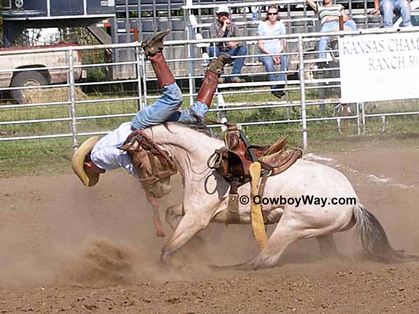 A random photo of the day featuring cowgirls or cowboys