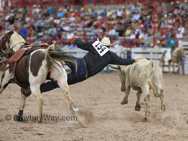 Current cowboy photo of the day