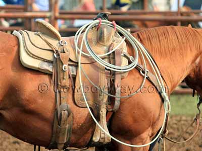 A great quality, cheap roping saddle