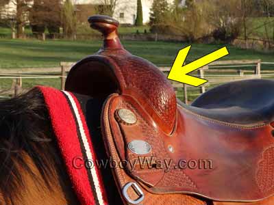 A trail riding saddle with an arrow pointing to the fork